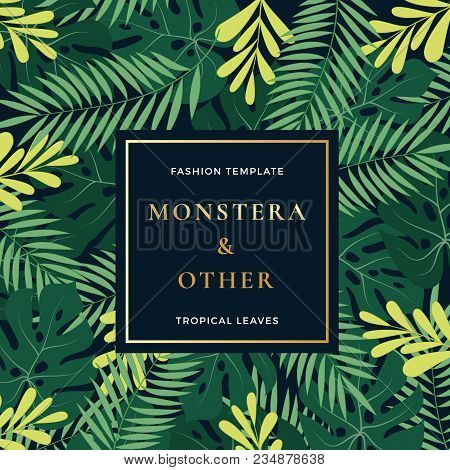 Tropical Forest Leaves Abstract Vector Banner Or Invitation Template. Monstera Palm Leaf, Fern And O