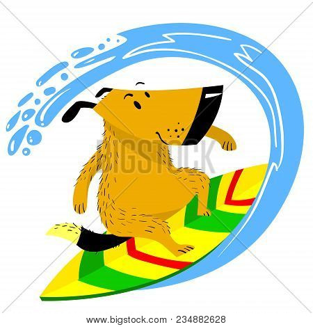 The Dog On The Surfboard. The Pet Is Engaged In Summer Sports Like Human. Serfing Dog. Vector Illust