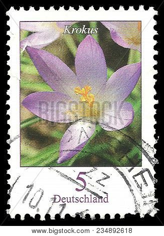 Germany - Circa 2007: Stamp Printed By Germany, Color Edition On Flora, Shows Flowers Krokus, Elves 
