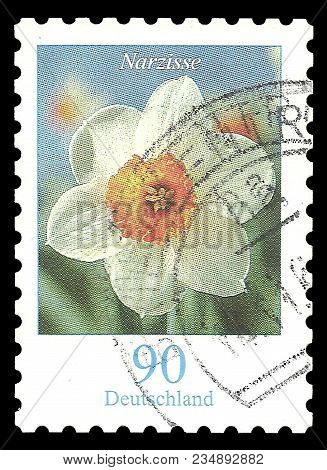 Germany - Circa 2006: Stamp Printed By Germany, Color Edition On Flora, Shows Flowers Narzisse, Narc