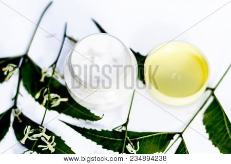 Close Up Of Cream Of Neem,nim, Indian Iilac Or Azadirachta Indica With The Leaves Of Neem Tree Isola