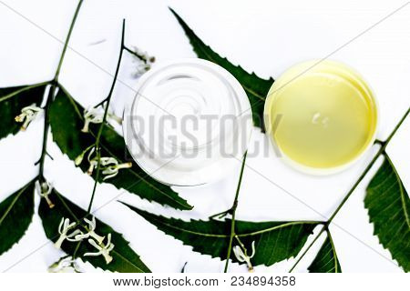 Close Up Of Cream Of Neem,nim, Indian Iilac Or Azadirachta Indica With The Leaves Of Neem Tree Isola
