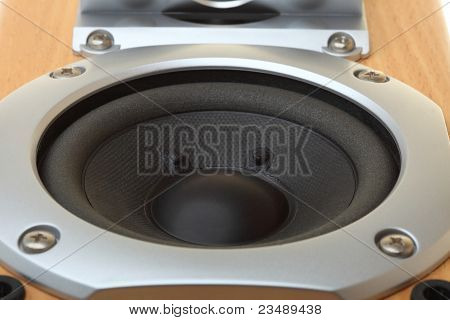 Audio speaker