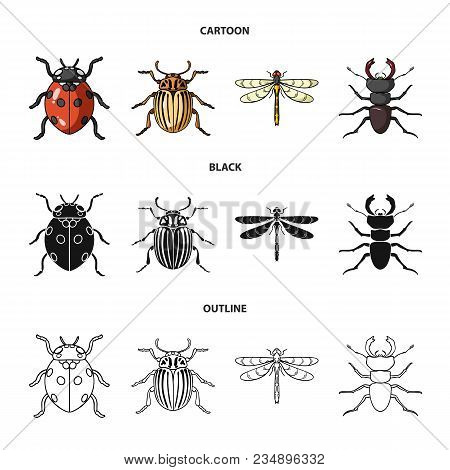 Insect, Bug, Beetle, Paw .insects Set Collection Icons In Cartoon, Black, Outline Style Vector Symbo