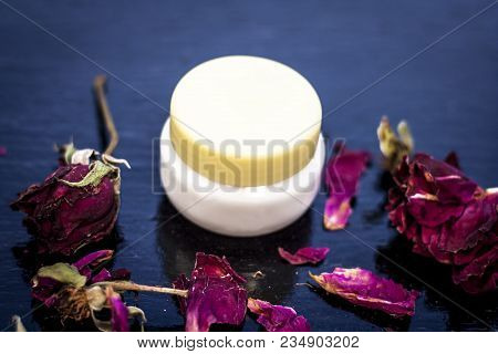 Close Up Of Cream Rose Or Gulab Or Rosa With Fresh Petals Of Rose On Black Wooden Surface It Is An A