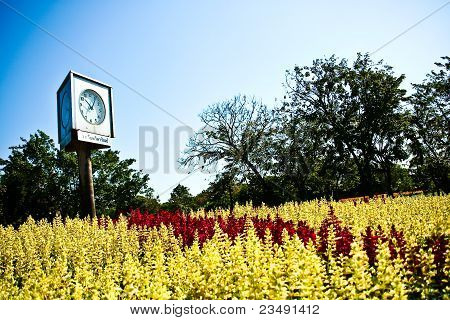 Blomsterhave på Suan Luang Rama 9 Thailand