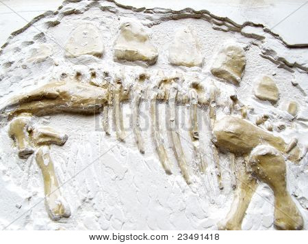 Forstenede Dinosaur knogler