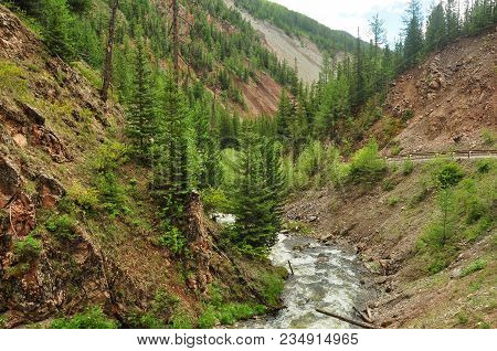 Rough Stormy River Flowing In A Mountain Stony Canyon. Altai Mountains, Siberia.
