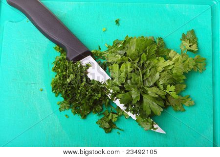 Twig of parsley background