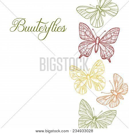 Vector Drawing Butterflies, Hand Drawn Illustration, Imitation Of Engrave