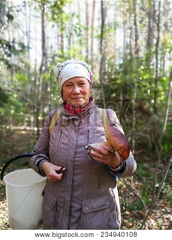 White Fungus In The Hands Of A Forester