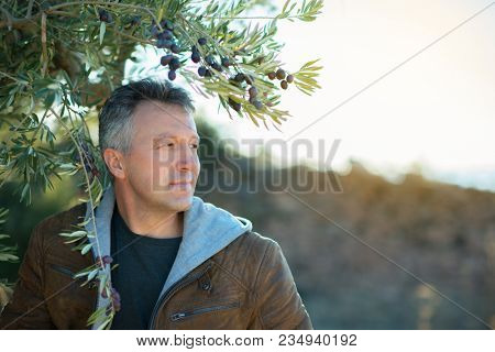 Handsome man posing in olive trees garden. Male portrain over mediterranean olive field ready for harvest. Confident mature man in spanish olive's grove with ripe fresh olives.
