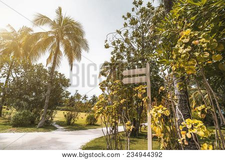 Wide-angle View Of The Resort Footway Surrounded By Palms, Lawns, And Other Trees, With A Blank Wood
