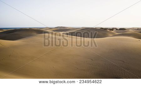 Dunes Of Maspalomas On The Island Of Gran Canaria, Spain