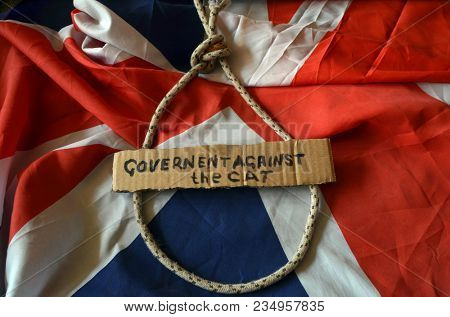 The scandal about poisoning of former Russian spy and killing his cat. Animal abuse.Concept. British Flag background.