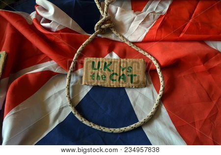 The scandal about poisoning of former Russian spy and killing his cat. Animal abuse.Concept. British Flag background.