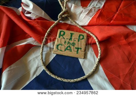 The scandal about poisoning of former Russian spy and killing his cat. Animal abuse.Concept. British Flag background.