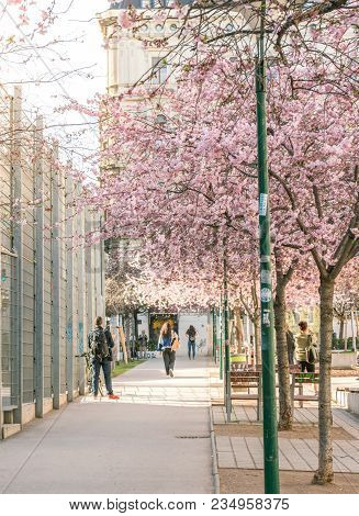 Spring In The City
