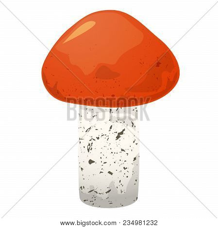 Leccinum Edible Mushroom, Vector Illustration Isolated From Background