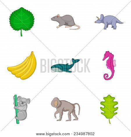 Live World Icons Set. Cartoon Set Of 9 Live World Vector Icons For Web Isolated On White Background