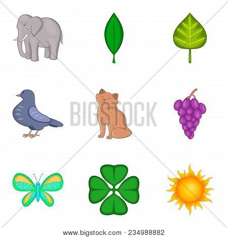 Animal Life Icons Set. Cartoon Set Of 9 Animal Life Vector Icons For Web Isolated On White Backgroun