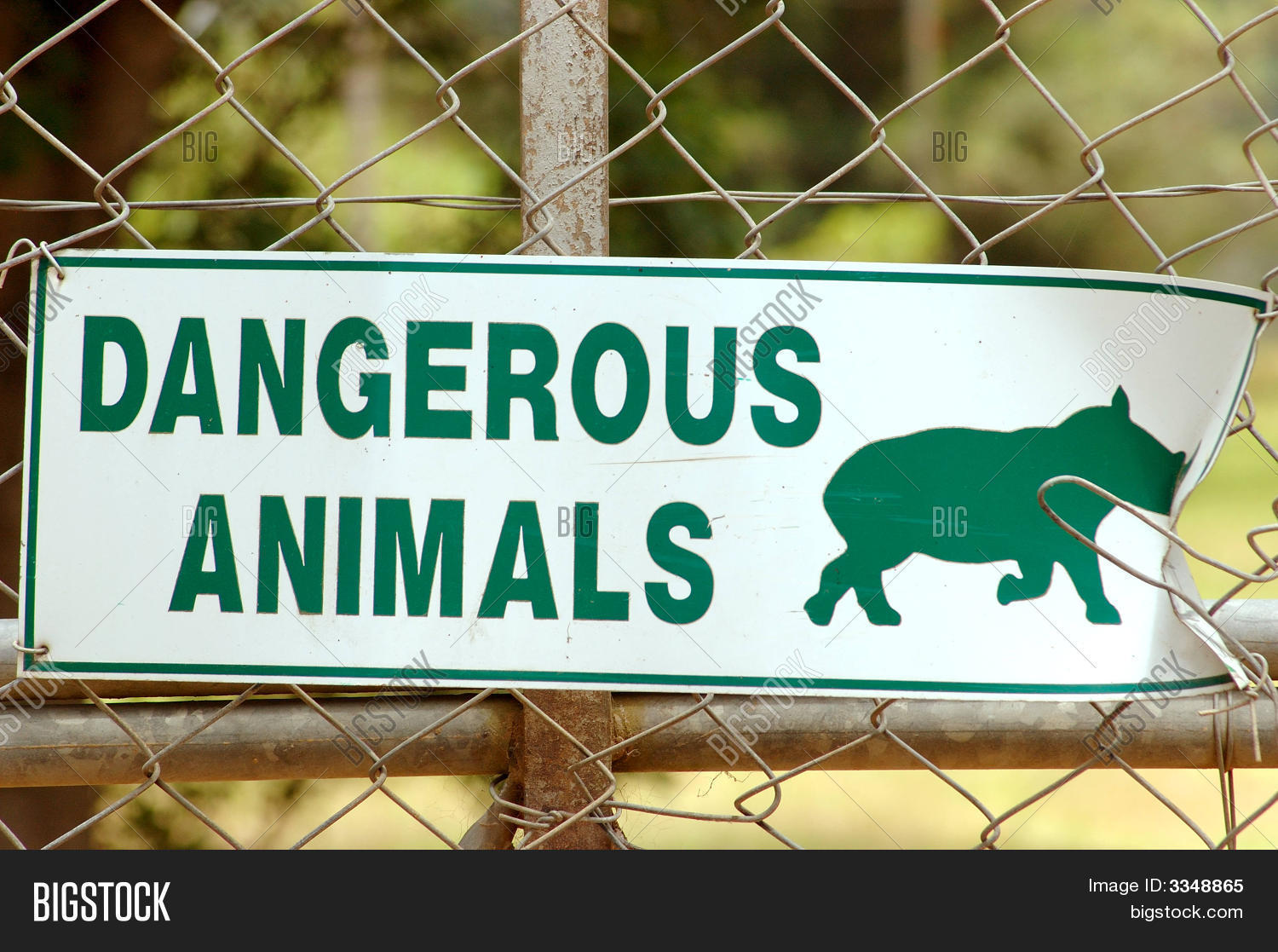 Dangerous Animals Sign Image & Photo (Free Trial) Bigstock