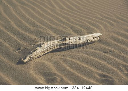 Close Up Of An Old Drift Wood On A Sandy Beach Covered With Ripple Marks