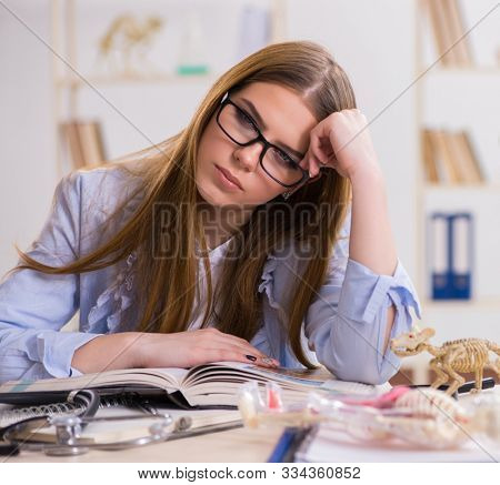 Student examining animal skeleton in classroom