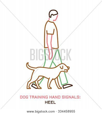 heel dog training