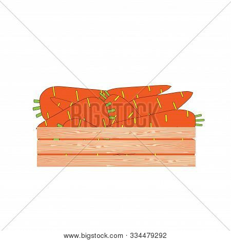 Carrot In Wood Box. Vegetarian Food Art Design Element Stock Vector Illustration For Web, For Print,