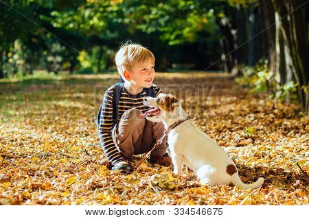 Eight Year Old Blond Boy Caressing His Dog Jack Russell Terrier Playing, Walking Together After Scho