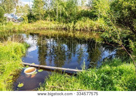 Birch Trees Reflection In The Small Pond In Summer Sunny Day