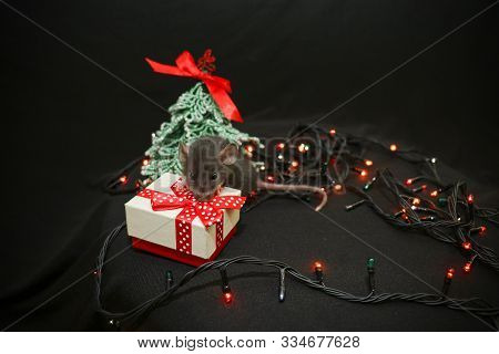 Small Grey Rat Near Handmade New Year Tree. The Symbol On 2020 Year. And The Bright Colors Of Fairy 