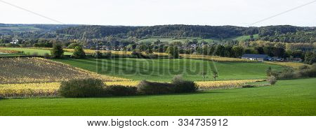 Autumn Viniyards And Rural Landscape In Dutch Province Of South Limburg On Sunny Day In The Fall