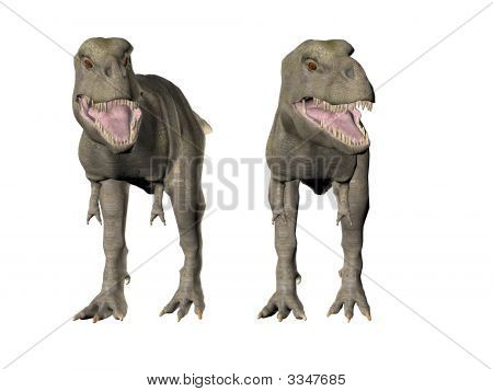 Tyrannosaurus Rex