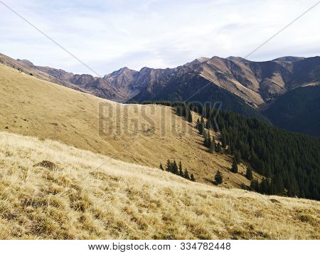 Landscape In The Mountains:  Fagaras - Lespezi Valley And Lespezi Peak