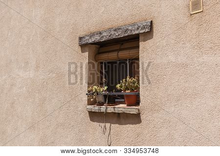 Window Full Of Plants And Life In A Small Town