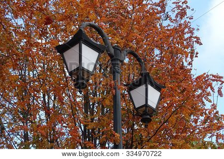 Old Fashioned Street Light Against Blue Sky And Autumnal Foliage Of Rowan