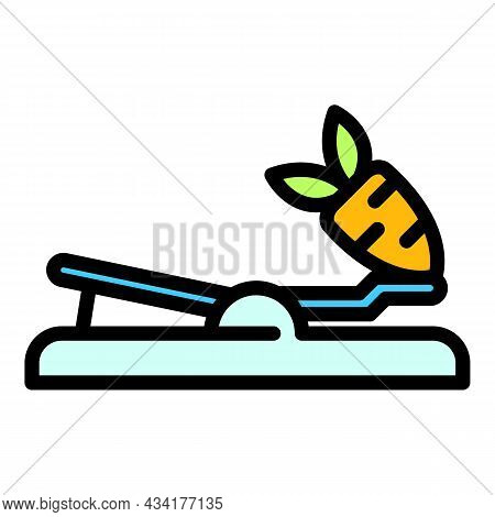 Rabbit Animal Trap Icon. Outline Rabbit Animal Trap Vector Icon Color Flat Isolated