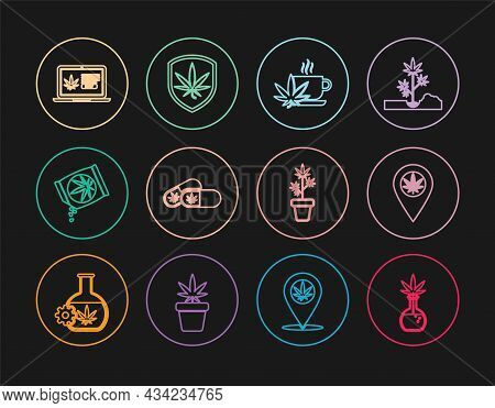Set Line Test Tube With Marijuana, Location And, Cup Tea, Medical Pills, Marijuana Or Cannabis Seeds