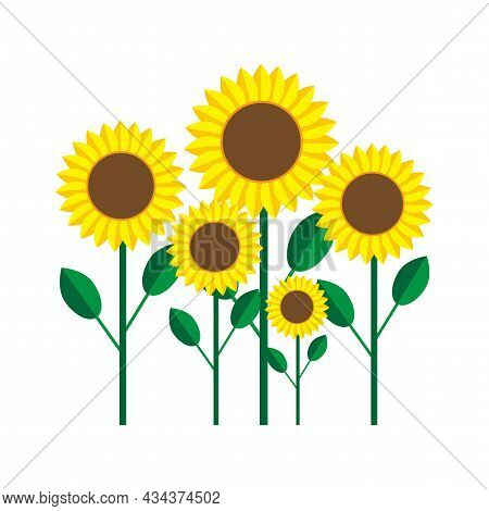 Sunflower Icon Set. Yellow Garden Plant. Green Stem With Leaves. Agriculture Background. Vector Illu