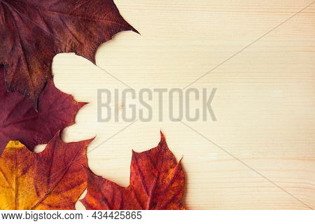 Multocolored Maple Leaves On Wooden Background, Close Up. Autumn Leaf Close Up With Copy Space.