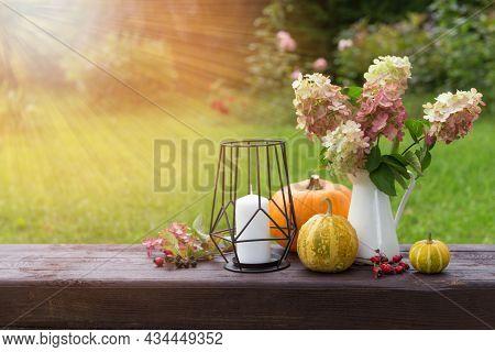 Autumnal Hydrangea Flowers And Ripe Orange Pumpkins, Autumnal Cozy Still Life. Thanksgiving Day, Mab