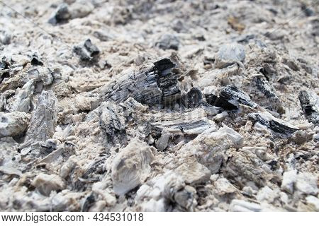 Ash From A Campfire Natural Background Texture. Close-up Of Gray Ash. Ash Texture.