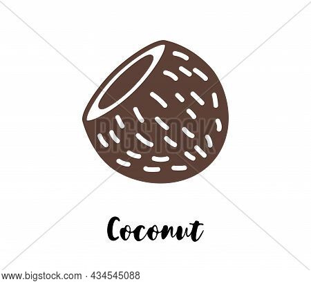Coconut Flat Drawing. Cocoanut Vector Isolated Eps Illustration