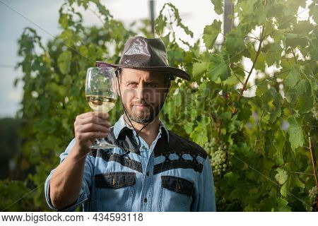 Mature Enologist Man In Hat Hold Wine Glass At Winery Outdoor, Cheers
