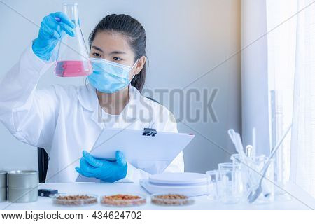 Quality Control Personnel Are Inspecting The Chemical Quality Pet Food. Quality Of Human Food And Pe