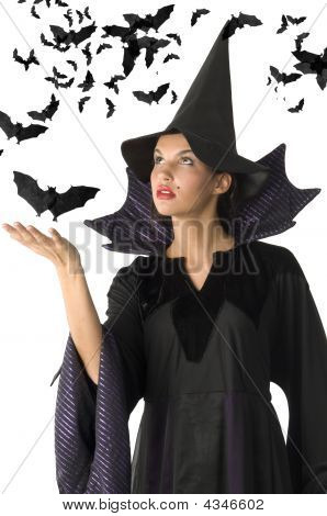 Witch And Bat