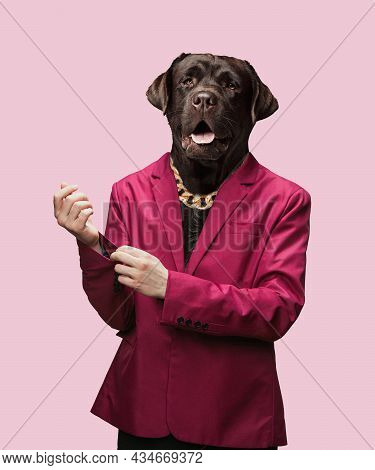 Contemporary Artwork, Conceptual Collage. Man Headed By Dog Head. Trendy Colors.