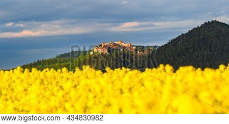 Rasnov, Romania. Spring Yellow Rape Field Landscape In Brasov, Transylvania And The Medieval Fortres